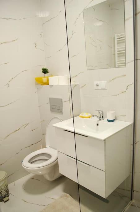 Appartement 3 Dream Apartmant 3+Parcare Gratuita à Oradea Extérieur photo